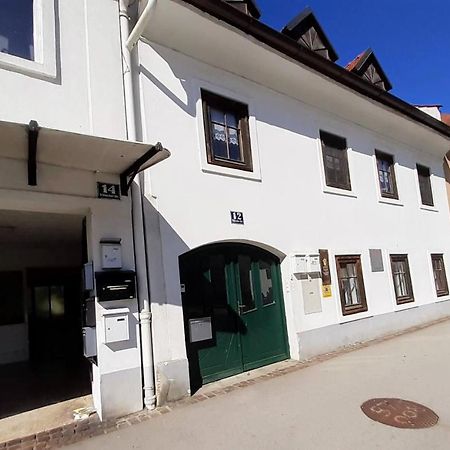Fassbinder Klause Mit Mini-Terrasse Apartment Sankt Veit an der Glan Bagian luar foto